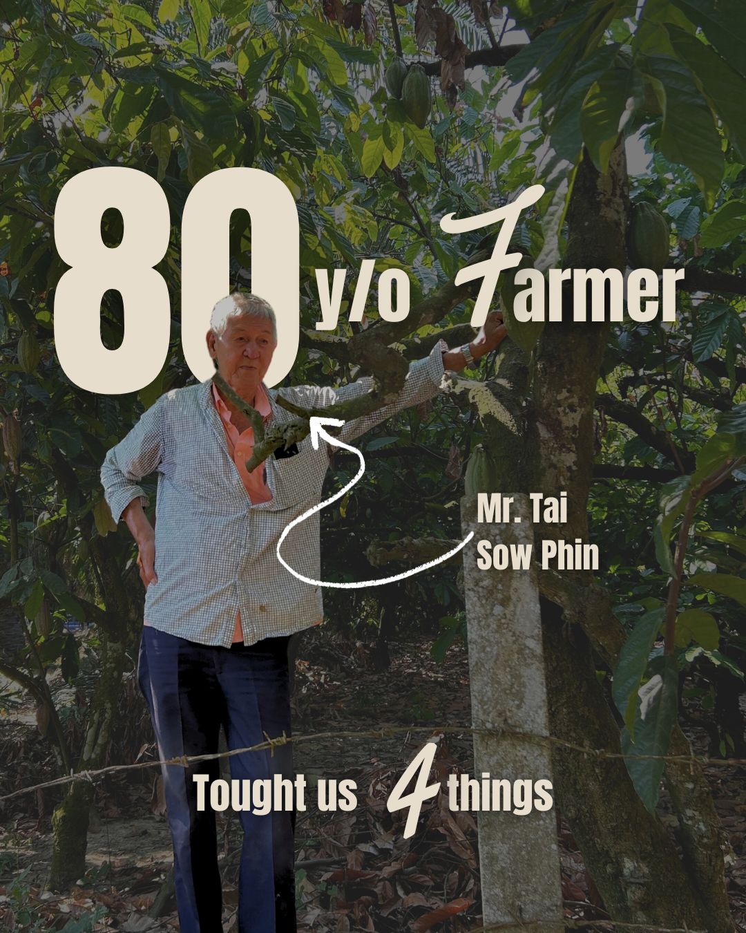 A Visit to the Cocoa Farm in Chemor