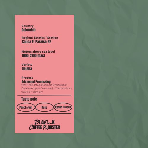 El Paraiso 92 - P-06