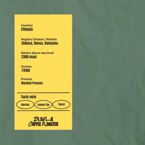 Ethiopia Hamasho TOH#2